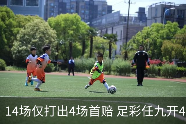 14场仅打出4场首赔 足彩任九开421注23639元